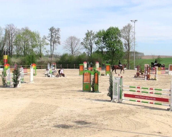 Reitturnier Pöttmes - Gut Sedlbrunn/Schw. 2025