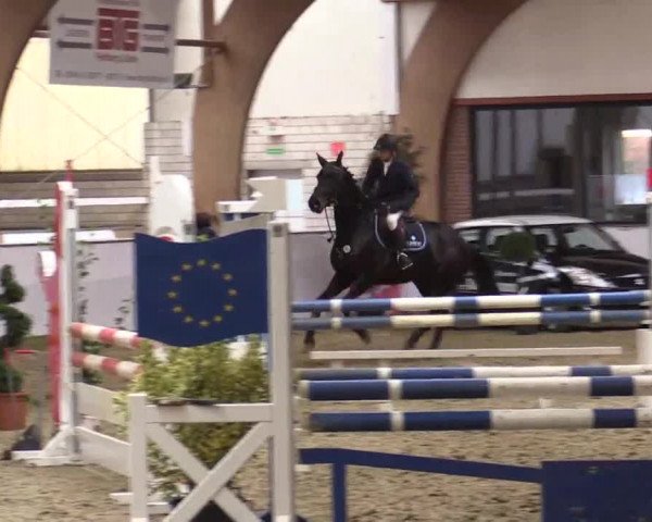 Hallenspringturnier Barlo Bocholt 2014
