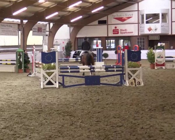 Hallenspringturnier Barlo Bocholt 2014