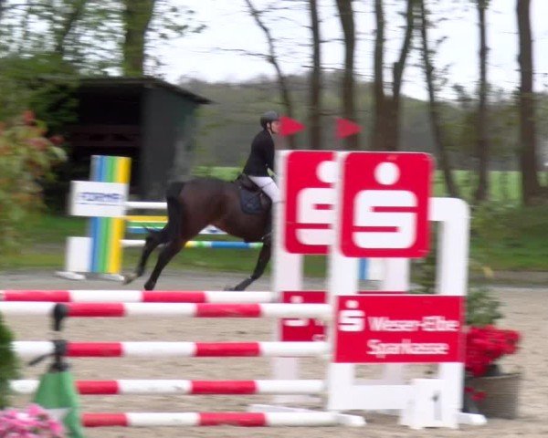 Reitturnier Elmlohe 2025