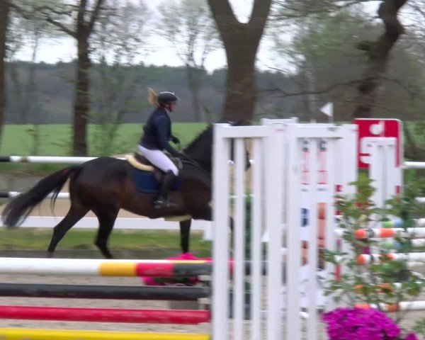 Reitturnier Elmlohe 2025