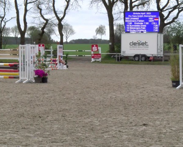 Reitturnier Elmlohe 2025