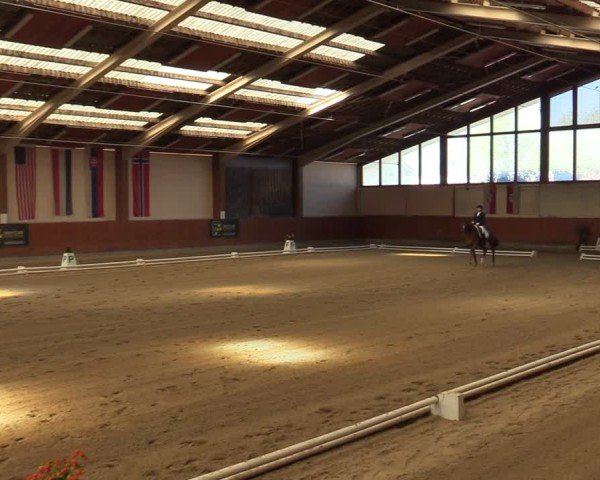 Reitturnier Weikersdorf am Steinfelde 2025