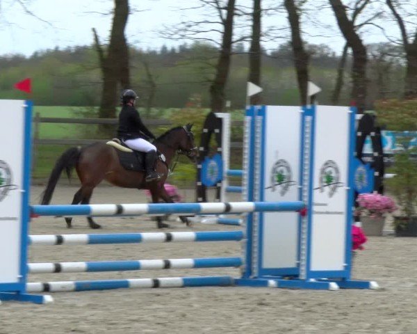 Reitturnier Elmlohe 2025