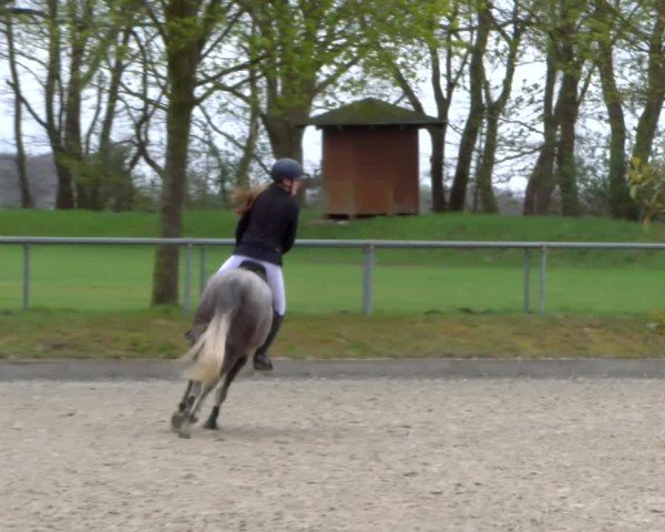 Reitturnier Elmlohe 2025