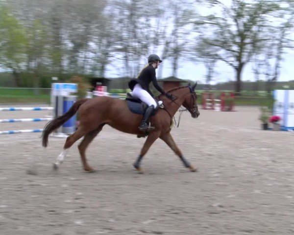 Reitturnier Elmlohe 2025