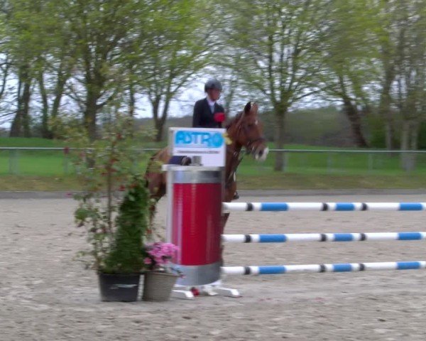 Reitturnier Elmlohe 2025
