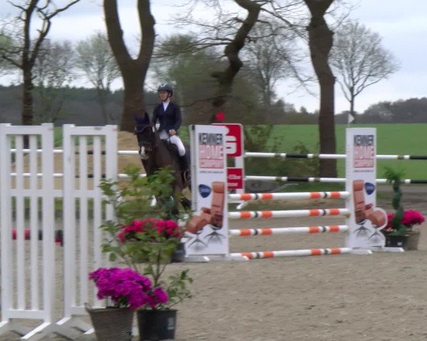 Reitturnier Elmlohe 2025