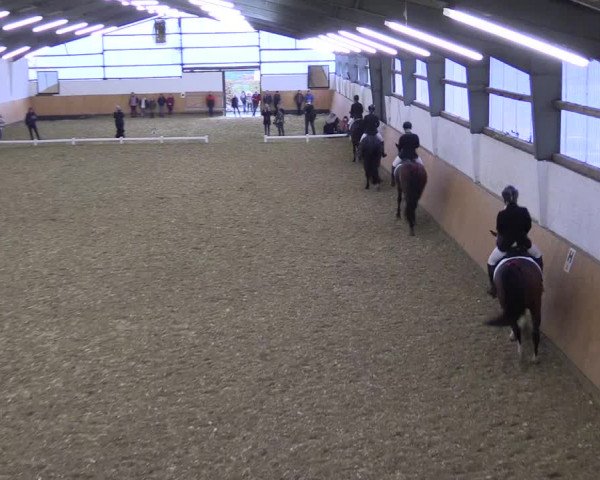 Reitturnier Datteln 2021