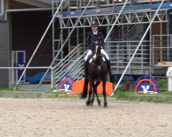 Reitturnier Elmlohe 2025