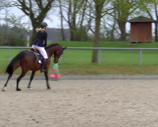Reitturnier Elmlohe 2025