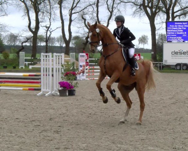 Reitturnier Elmlohe 2025