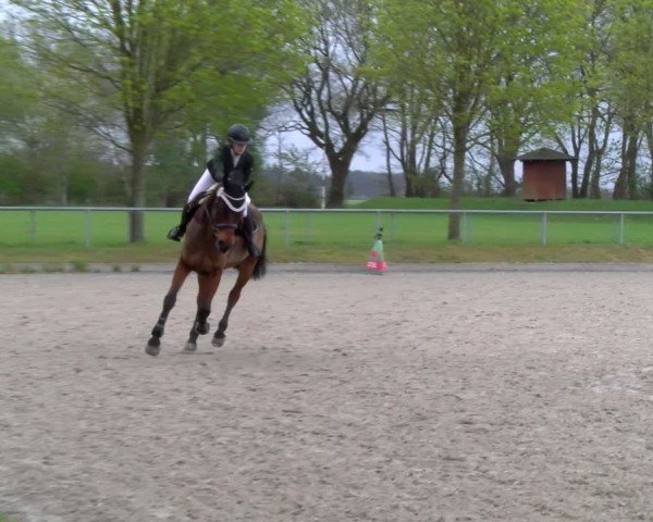 Reitturnier Elmlohe 2025