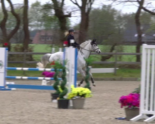 Reitturnier Elmlohe 2025