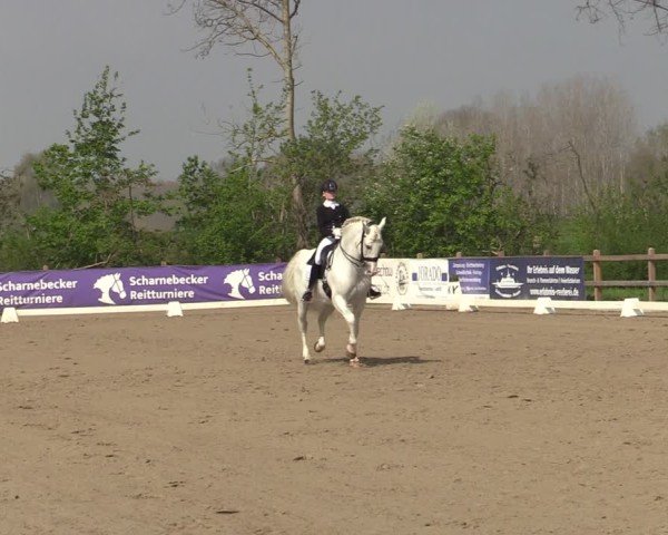 Reitturnier Scharnebeck 2025