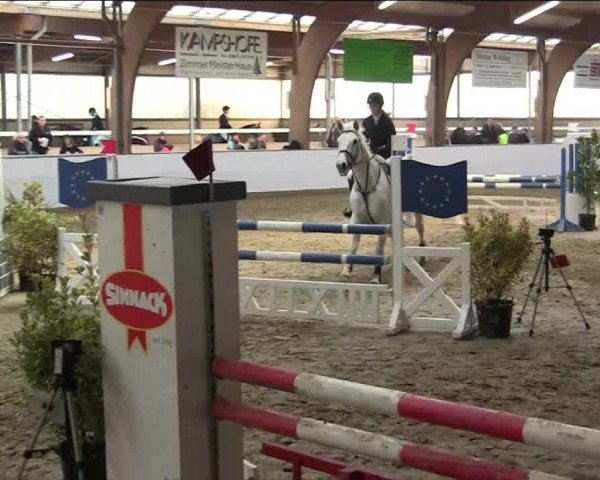 Hallenspringturnier Barlo Bocholt 2014