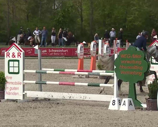 Reitturnier Grafenrheinfeld/Ufr. 2025
