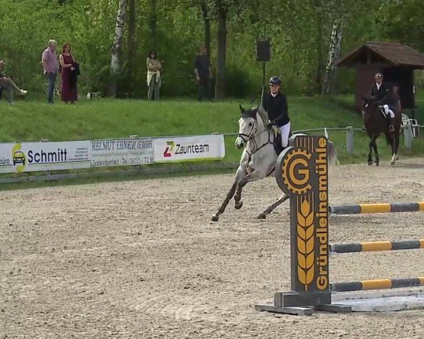 Reitturnier Grafenrheinfeld/Ufr. 2025