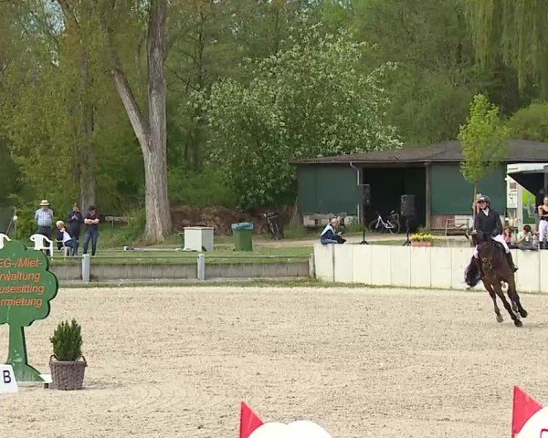 Reitturnier Grafenrheinfeld/Ufr. 2025