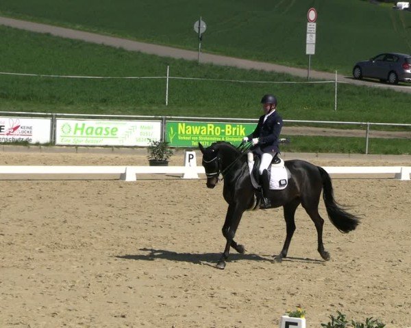 Reitturnier Duderstadt 2025