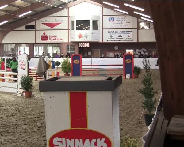 Hallenspringturnier Barlo Bocholt 2014