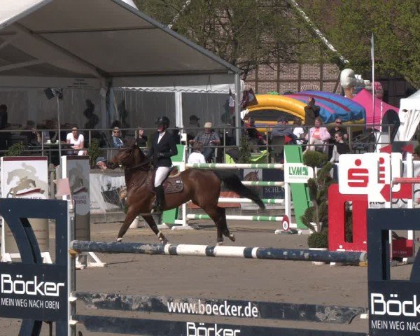 Lenklarer Reitertage Werne 2025