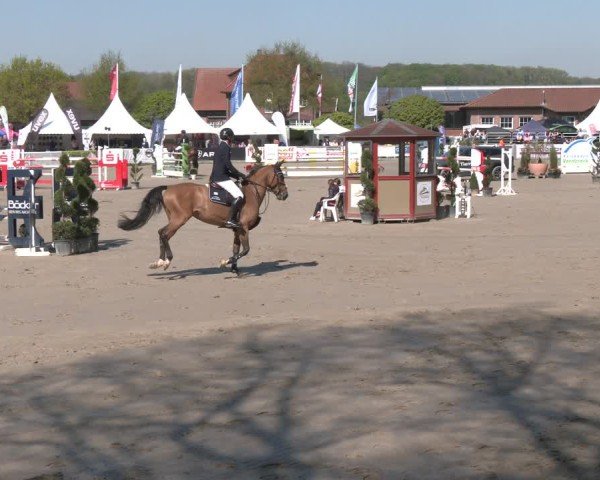 Reitturnier Werne-Lenklar 2025