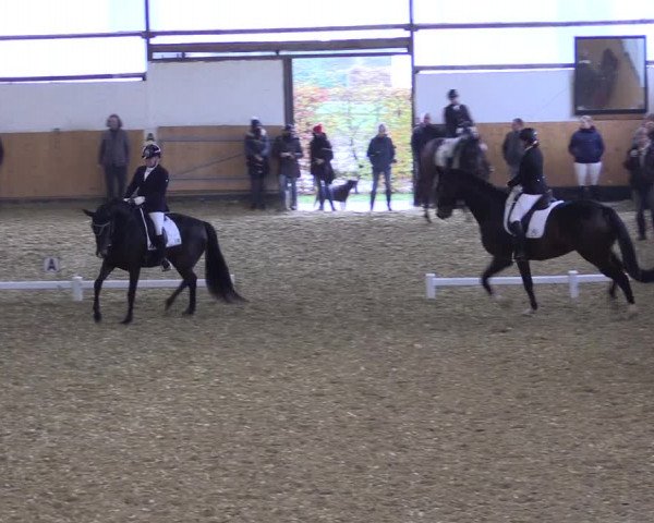 Reitturnier Datteln 2021