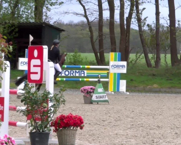 Reitturnier Elmlohe 2025