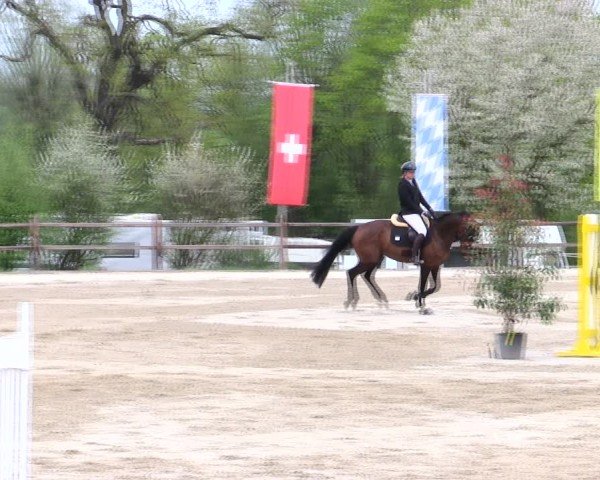 Reitturnier Pöttmes - Gut Sedlbrunn/Schw. 2025