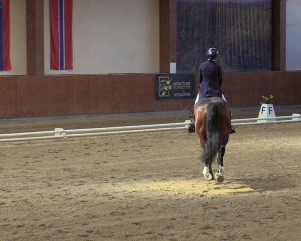 Reitturnier Weikersdorf am Steinfelde 2025