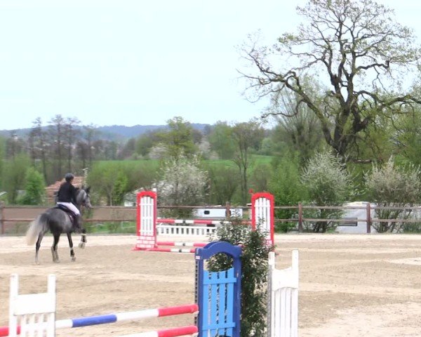 Reitturnier Pöttmes - Gut Sedlbrunn/Schw. 2025