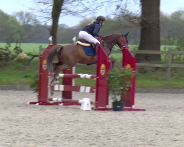 Reitturnier Elmlohe 2025
