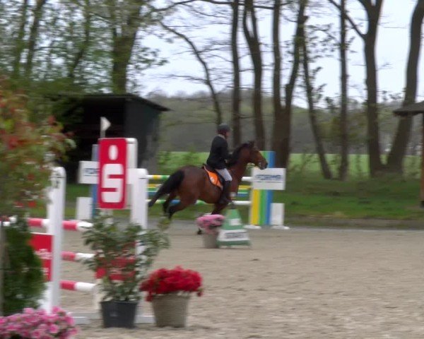 Reitturnier Elmlohe 2025