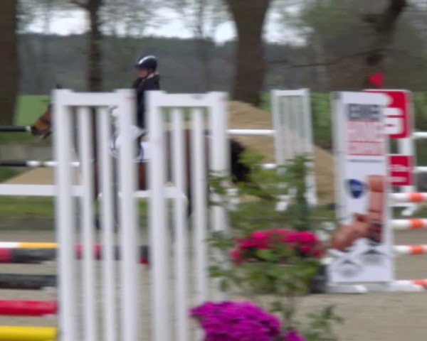 Reitturnier Elmlohe 2025