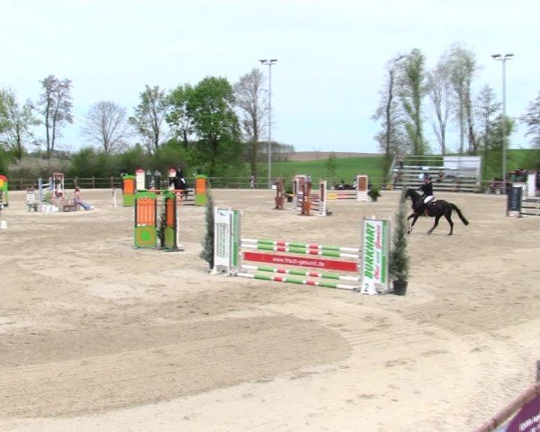 Reitturnier Pöttmes - Gut Sedlbrunn/Schw. 2025