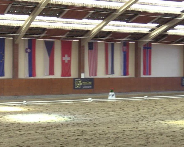 Reitturnier Weikersdorf am Steinfelde 2025