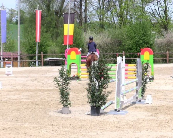 Reitturnier Pöttmes - Gut Sedlbrunn/Schw. 2025