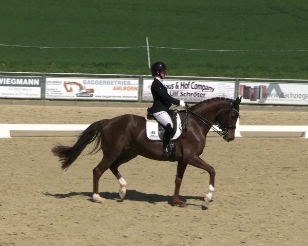 Reitturnier Duderstadt 2025