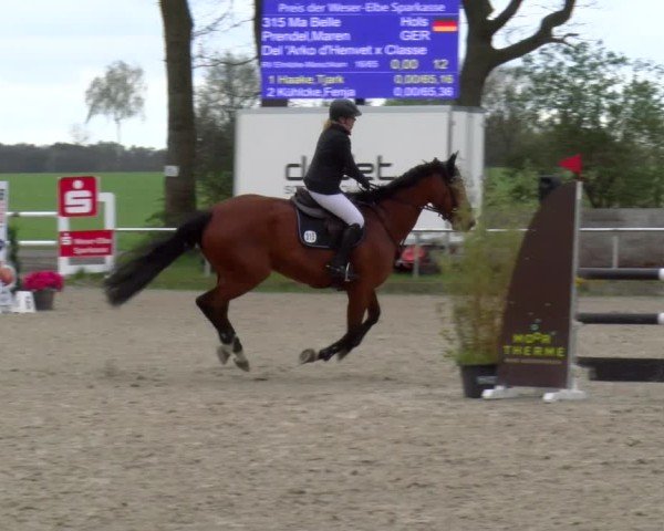 Reitturnier Elmlohe 2025