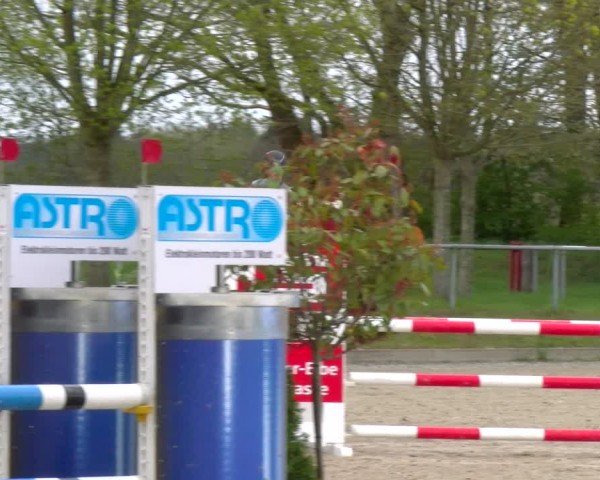 Reitturnier Elmlohe 2025