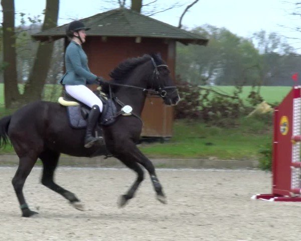 Reitturnier Elmlohe 2025