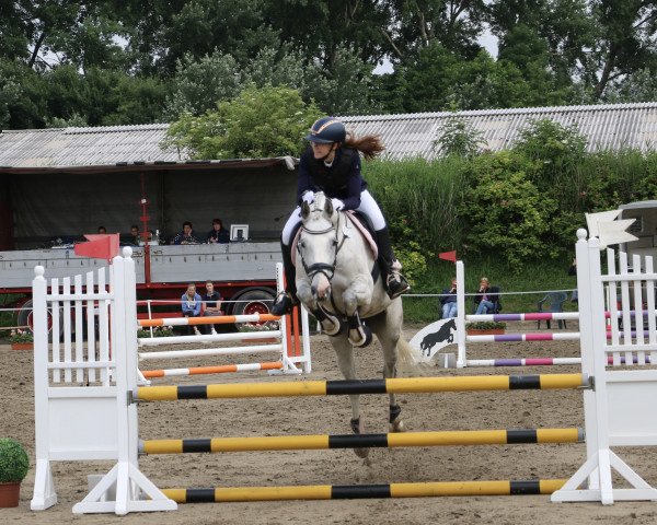 jumper Clearway's Mia (Holsteiner, 2008, from Clearway)
