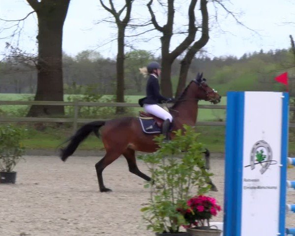 Reitturnier Elmlohe 2025