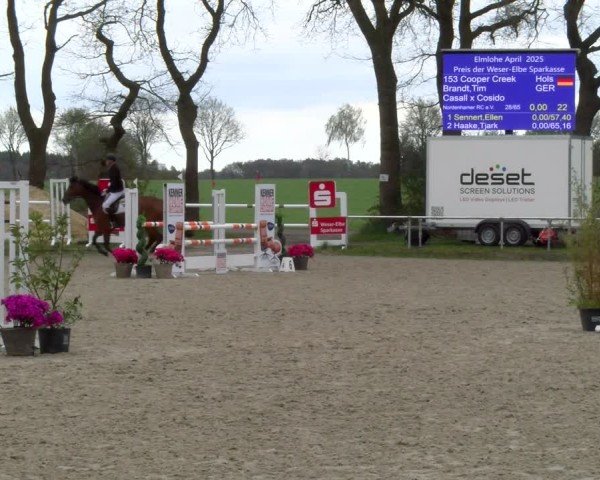 Reitturnier Elmlohe 2025