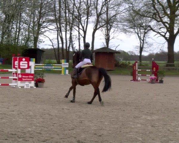 Reitturnier Elmlohe 2025