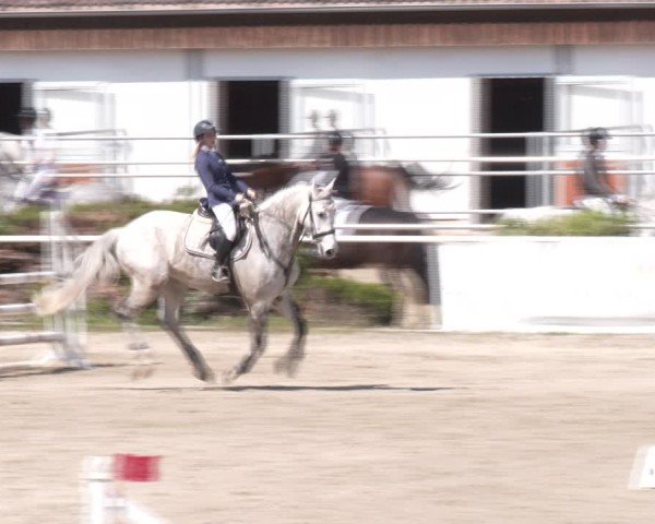 Reitturnier Margarethen am Moos 2025