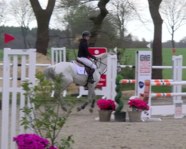 Reitturnier Elmlohe 2025