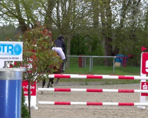 Reitturnier Elmlohe 2025