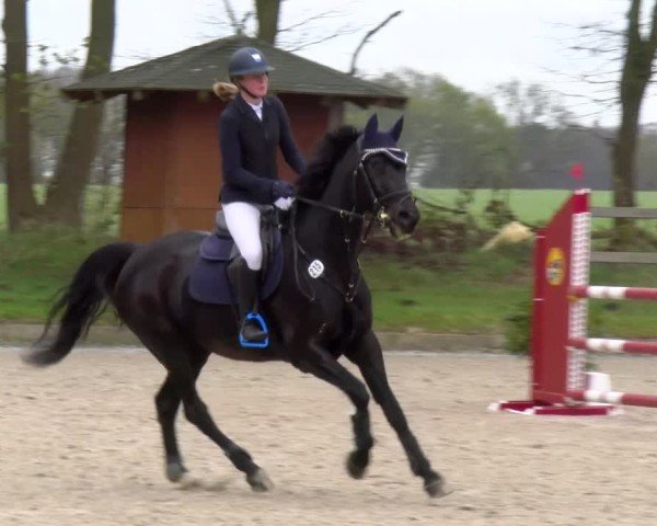 Reitturnier Elmlohe 2025